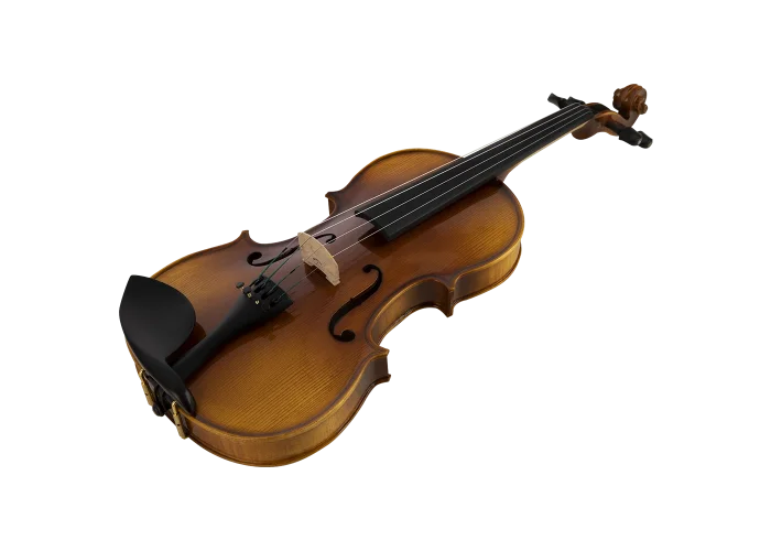 ANTON BRUCKNER MAESTRO V Keman (Thomastik Telli - Yay ve Taşıma Çantası Dahil)