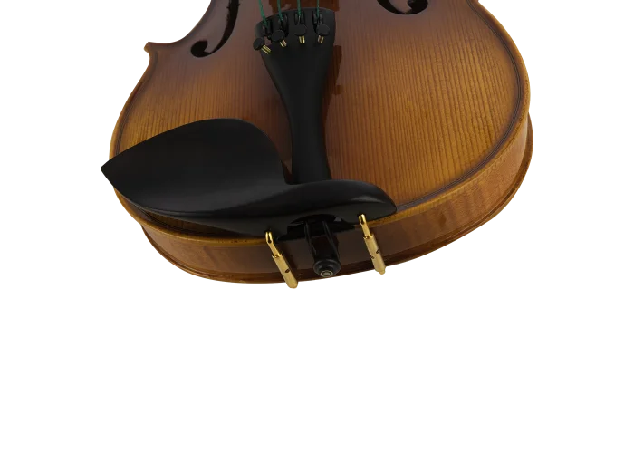 ANTON BRUCKNER MAESTRO V Keman (Thomastik Telli - Yay ve Taşıma Çantası Dahil)