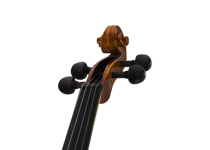 ANTON BRUCKNER MAESTRO V Keman (Thomastik Telli - Yay ve Taşıma Çantası Dahil)