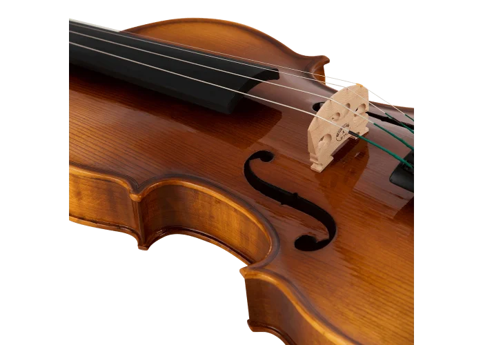 ANTON BRUCKNER MAESTRO V Keman (Thomastik Telli - Yay ve Taşıma Çantası Dahil)