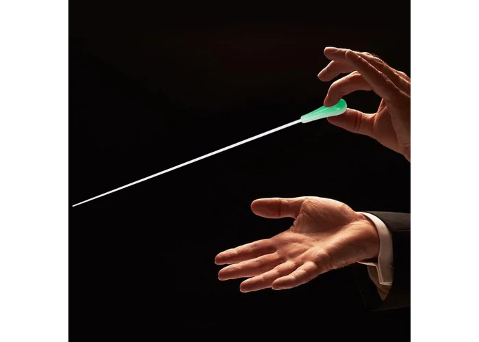 FOCUS FCB02 Şef Çubuğu/Baton (38.5 cm)