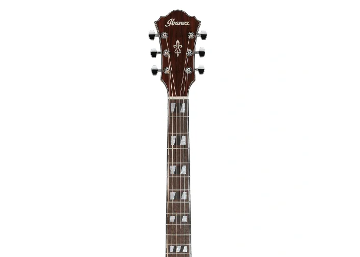 Ibanez AE170-NTR Elektro Akustik Gitar