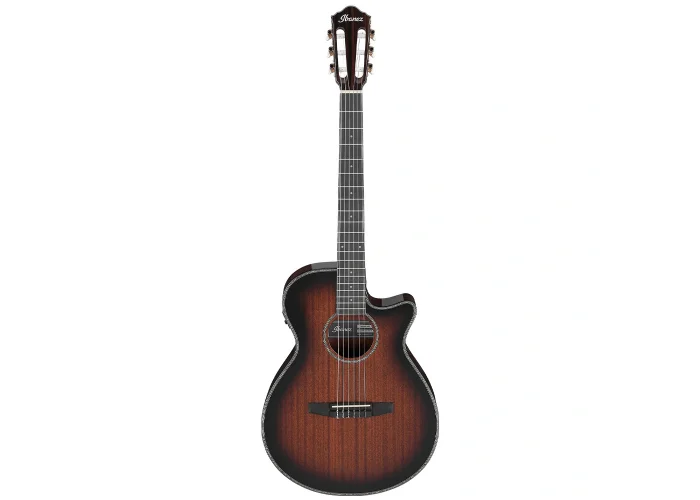 Ibanez AEG74N-MHS Elektro Akustik Gitar