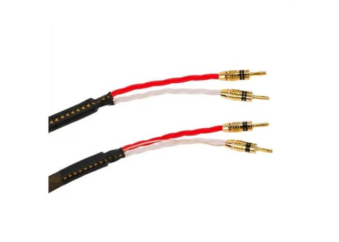 Tchernov REFERENCE DSD SC BN/BN Hoparlör Kablosu