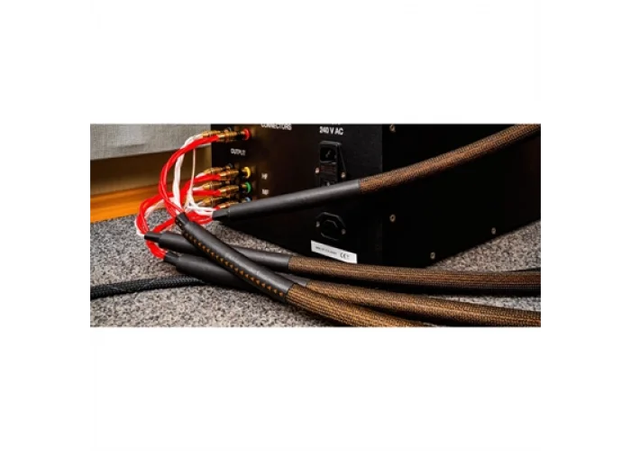 Tchernov REFERENCE DSD SC BN/BN Hoparlör Kablosu