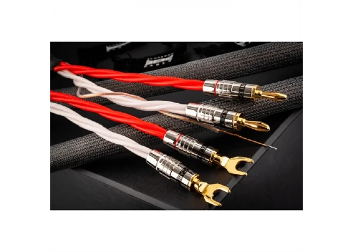 Tchernov ULTIMATE DSC SC Hoparlör Kablosu