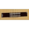 ALHAMBRA 2C / Klasik Gitar