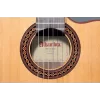 ALHAMBRA IBERIA ZIRICOTE / Klasik Gitar