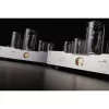 Allnic Audio A 311M Lambalı Mono Güç amplifikatörü