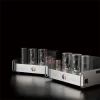 Allnic Audio M 2500 Lambalı Mono Güç Amplifikatörü
