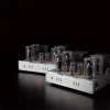 Allnic Audio M 3000 MK3 Lambalı Mono güç Amplifikatörü