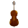 ANTON BRUCKNER C.MAESTRO VI Çello