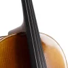 ANTON BRUCKNER C.MAESTRO VI Çello