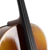 ANTON BRUCKNER C.MAESTRO XII Çello