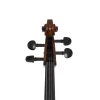 ANTON BRUCKNER C.MAESTRO XII Çello