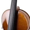 ANTON BRUCKNER MAESTRO VII Keman (Thomastik Telli - Yay ve Taşıma Çantası Dahil)