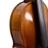 ANTON BRUCKNER MAESTRO X-ELITE I Keman (Thomastik Telli - Yay ve Taşıma Çantası Dahil)
