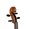 ANTON BRUCKNER V.MAESTRO X-II Pirastro Telli Keman & Yay ve Taşıma Kutusu