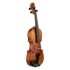 ANTON BRUCKNER V.MAESTRO X-III Pirastro Telli Keman & Yay ve Taşıma Kutusu