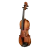 ANTON BRUCKNER V.MAESTRO X-III Pirastro Telli Keman & Yay ve Taşıma Kutusu