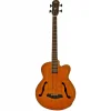 Aria FEBF2MSTBR Akustik Bas Gitar