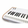 Arturia AstroLab 88 88 Tuş Stage/Studio Keyboard