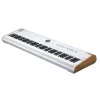Arturia AstroLab 88 88 Tuş Stage/Studio Keyboard