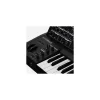 Arturia MatrixBrute Noir Edition 37 keys Keyboard