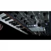 Arturia PolyBrute %100 Analog Modular Synth