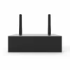 Arylic A50+ Wi-Fi & Bluetooth Class D Audio Amfi (2x50W)