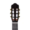 BARCELONA Reguis Natural Klasik Gitar