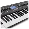 Behringer DEEPMIND 12 Synthesizer