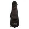 Blackstar Carry-on Travel Gitar ( Jet Black)