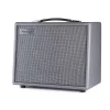 Blackstar Silverline Standard 20 Watt 10 Combo Amfi (Silver)