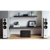 Blue Sound Powernode N330 Stream + Amplifikatör