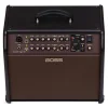 BOSS ACS-PRO Acoustic Singer Pro Amfi