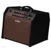 BOSS ACS-PRO Acoustic Singer Pro Amfi