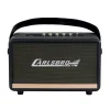Carlsbro EW CK30-DM Bluetooth Hoparlör (Siyah - 2 Kablosuz Mikrofonlu)