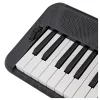 CASIO CT-S300C2 61 Tuş Piyano Stili Hassasiyetli Standard Org (Adaptör Dahil)