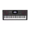 CASIO CT-X5000 61 Tuş Piyano Stili Hassasiyetli Standart Org (Adaptör Dahil)