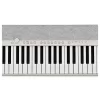 CASIOTONE CT-S1-76WE 76 Tuş Piyano Stili Hassasiyetli Standart Beyaz Org (Adaptör Dahil)