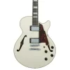 Dangelico DAPSSCMPCSCB Premier SS Champagne Elektro Gitar