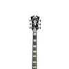 Dangelico DAPSSCMPCSCB Premier SS Champagne Elektro Gitar