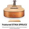 Donner DAD-140C Dreadnought Akustik Gitar Paketi (Natural)