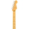 FENDER American Professional Classic Stratocaster Akçaağaç Klavye 3 Ton Sunburst Elektro Gitar