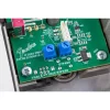 Fender Bassman Delay Pedalı