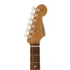 Fender Limited Edition American Professional II Stratocaster Roasted Akçaağaç Sap Gülağacı Klavye Sonic Blue Elektro Gitar