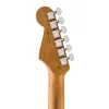 Fender Limited Edition American Professional II Stratocaster Roasted Akçaağaç Sap Gülağacı Klavye Sonic Blue Elektro Gitar