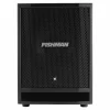 Fishman SA Sub 300W 8 Subwoofer