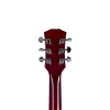 HAZE E-239 CS Elektro Gitar